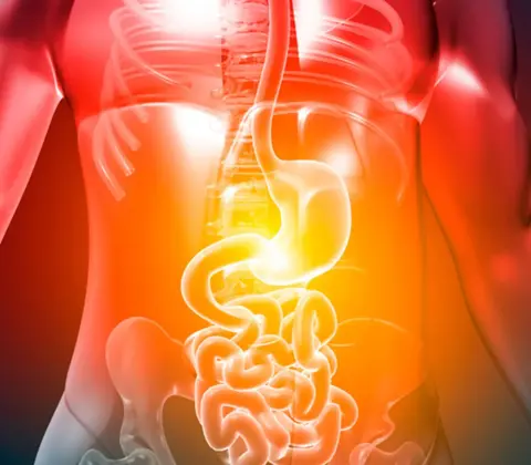 Cirurgia Oncológica do Aparelho Digestivo